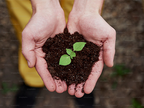 Сертификат сертификации системы