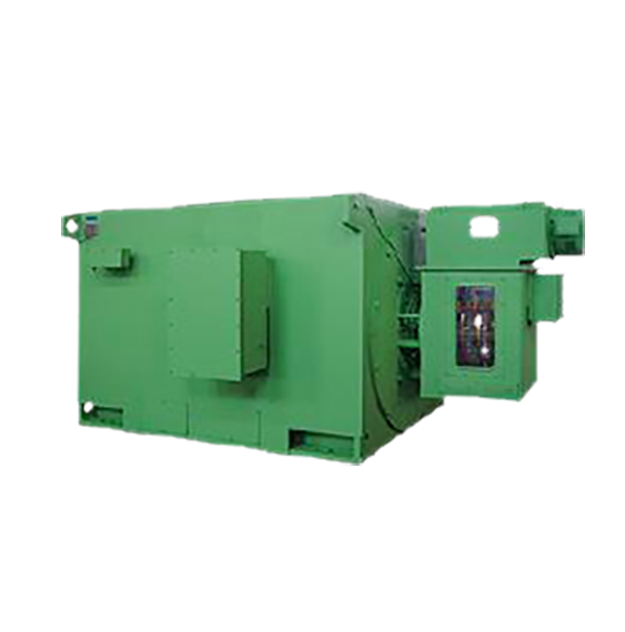 同步電動(dòng)機(jī)